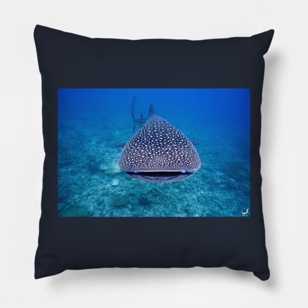 Big whale shark photography Pillow by HANART