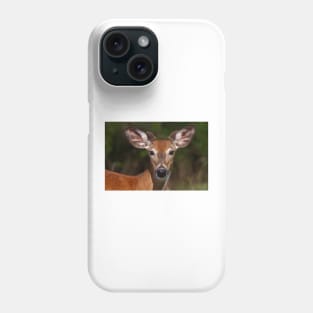 Young spring buck - White-tailed deer Phone Case