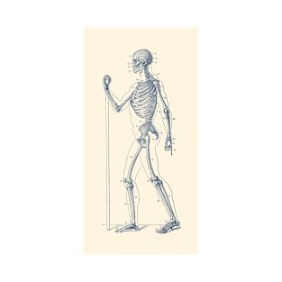 Side View Skeletal Diagram - Vintage Anatomy Poster T-Shirt