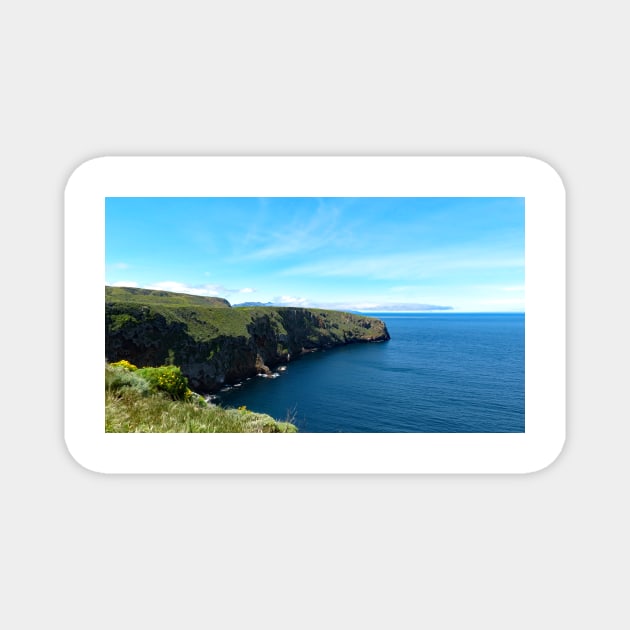 Channel Islands National Park Santa Cruz Island Magnet by supernova23