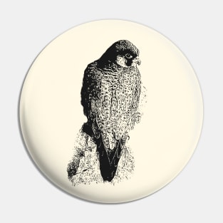 Falcon Pin