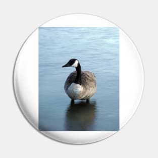 Evening Goose Pin