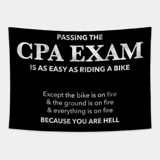 Passing CPA Exam Easy Hell Funny Accountant Gift Tapestry