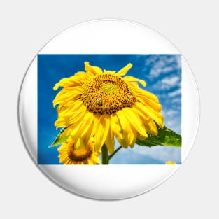 Sunflower With Bee 2 Pin