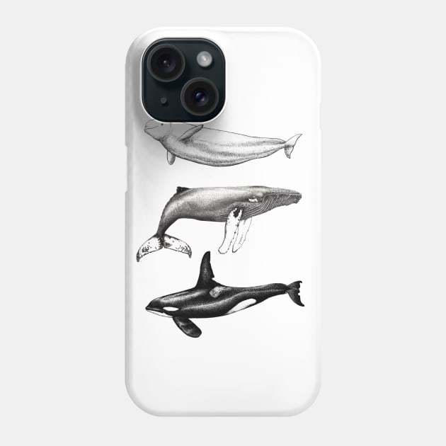 Beluga, orca and humpback whale ink Phone Case by chloeyzoard