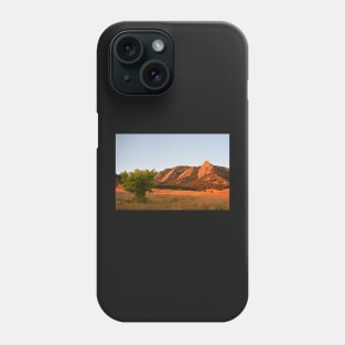 The Flatirons Boulder Colorado from Chautauqua Park Tree Phone Case