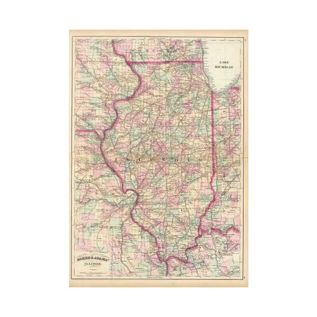 Vintage Map of Illinois (1874) by Bravuramedia