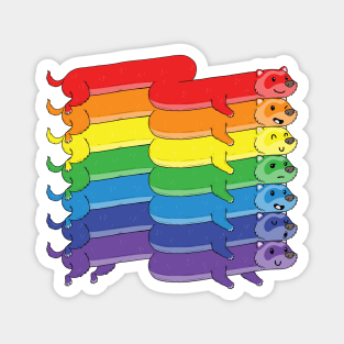 Pride Ferrets Magnet