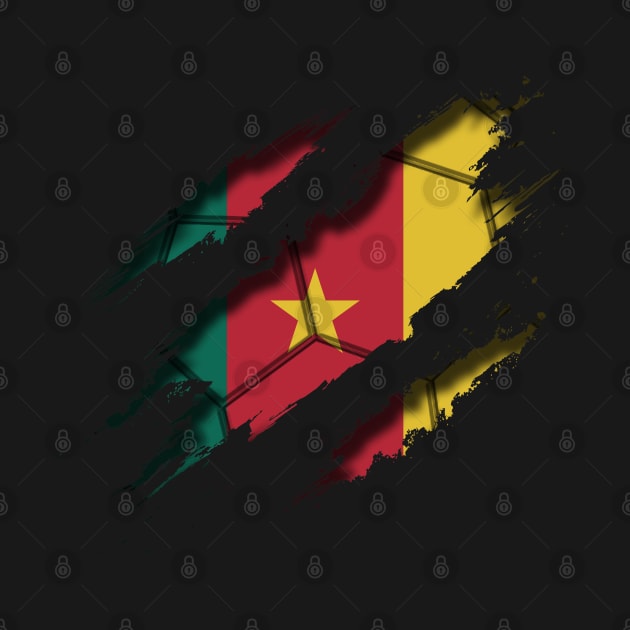 Cameroon Football by blackcheetah