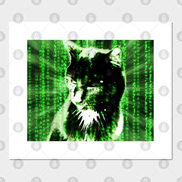 Matrix Cat Black Cat Posters And Art Prints Teepublic