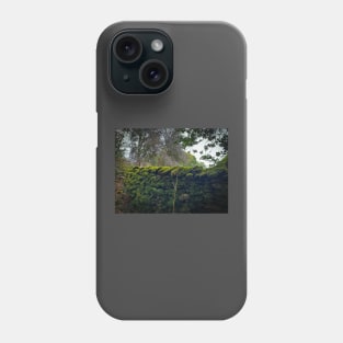 Lake District Wall Phone Case