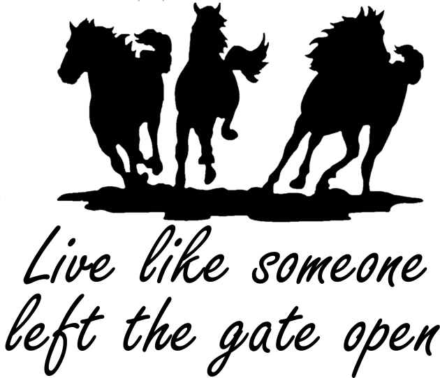 Live like someone left the gate open Kids T-Shirt by jmtaylor