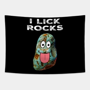 I LICK ROCKS Funny Rockhound Geology Rockhounding Gift Tapestry