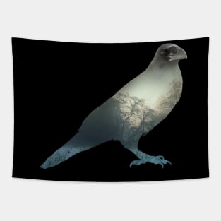 the  Raven - double exposure Tapestry