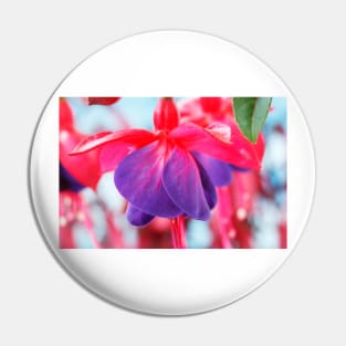 Fuchsia  'Army Nurse' Pin