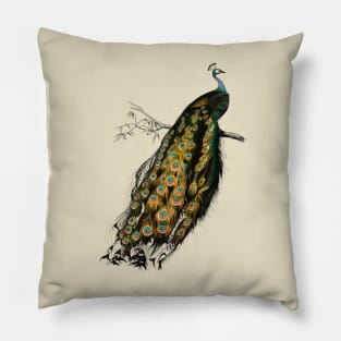 Vintage indian peafowl bird-animalia clothing Pillow