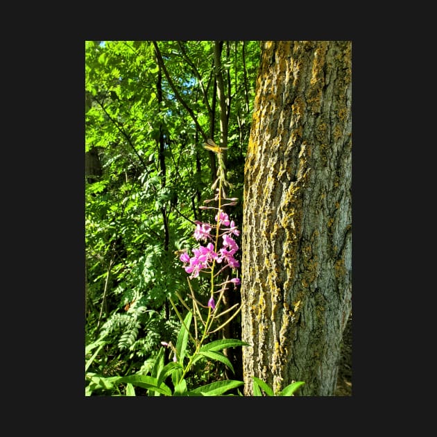 Dragonfly and Fireweed by Kyarwon