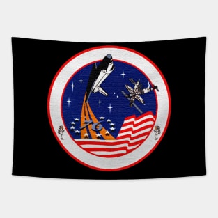 Black Panther Art - NASA Space Badge 135 Tapestry