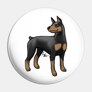 Dog - Doberman Pinscher - Black and Tan Pin