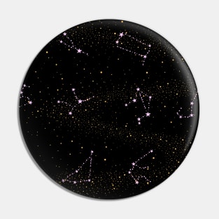 Zodiac Horoscope Star Signs Night Sky Pin