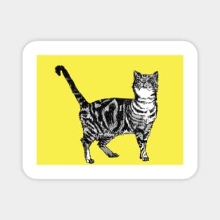 Cute Striped Tabby Cat Art Lemon Yellow Magnet