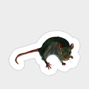 Mouse Magnet