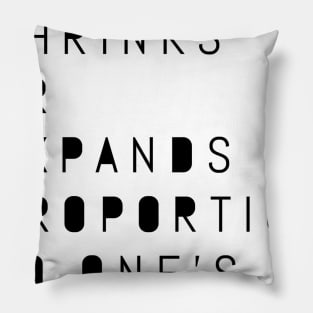 life shrinks or expands in proportion to one's courage Pillow