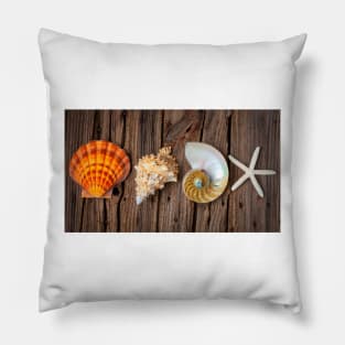 Four Lovely Shells And White Starfish Pillow