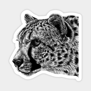 Cheetah portrait Magnet