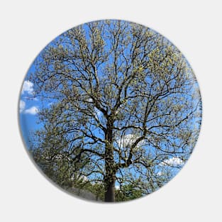 Majestic Old Tree in Springtime Pin