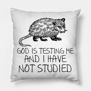 God Is Testing Me And I Have Not Studied oPossum  Pillow