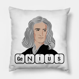 Isaac Newton Genius Pillow