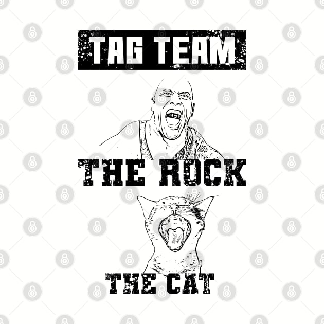 The rock and the cat by Nana On Here