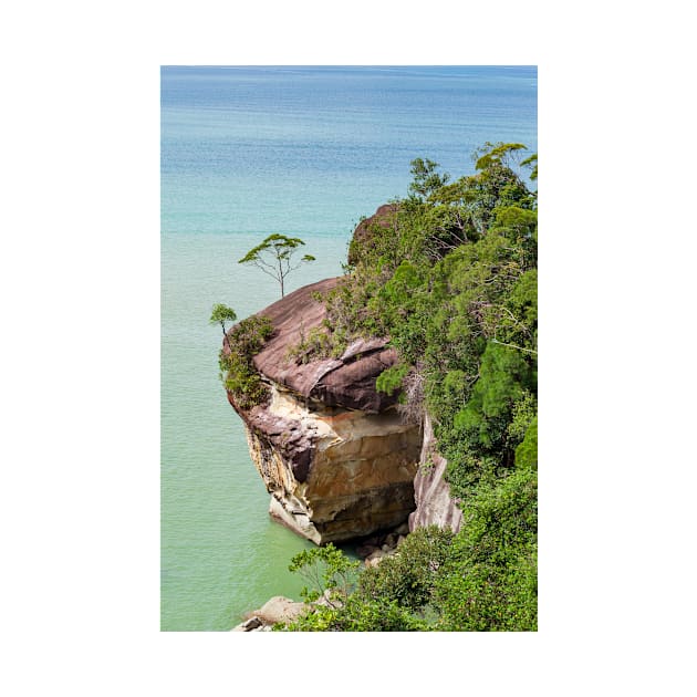 Cliff and trees at ocean shore landscape by Juhku