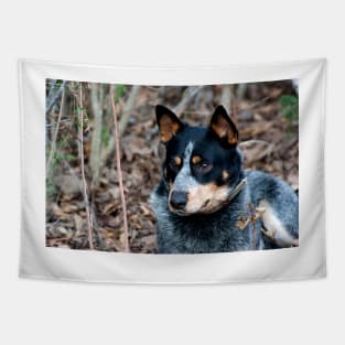 Blue Healer Friend Tapestry