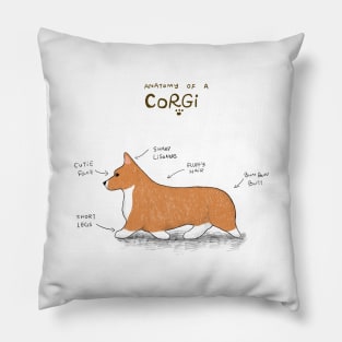 Anatomy of corgi Pillow