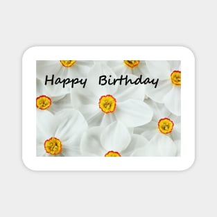 Narcissus  'Actaea'  Daffodil with Happy Birthday message Magnet