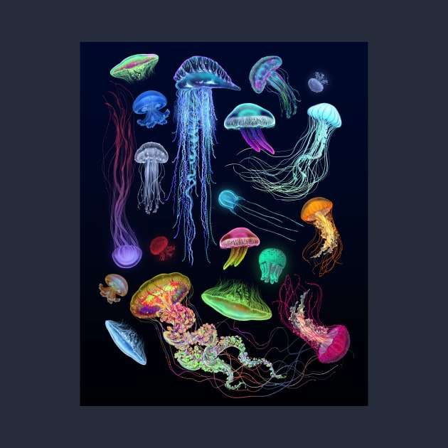 Glowing colorful variety jellyfish illustration by Dzydaria