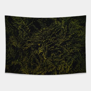 Dark Mysterious Bush Tapestry