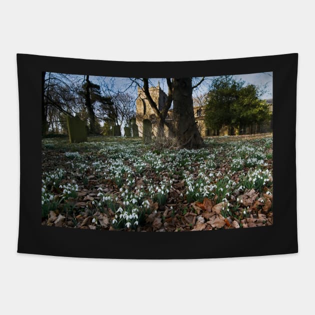 Churchyard Snowdrops Tapestry by MartynUK