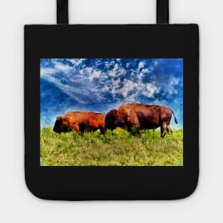 Bison On The Plains Tote