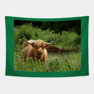 Highland cattle in field Tapestry