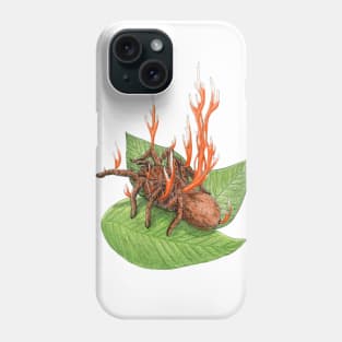 Cordyceps Tarantula (Cordyceps caloceroides) Phone Case