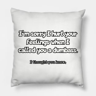 I'm sorry I hurt your feelings when I called you a dumbass... Pillow