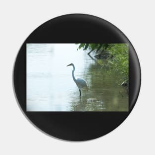 Great White Egret Pin