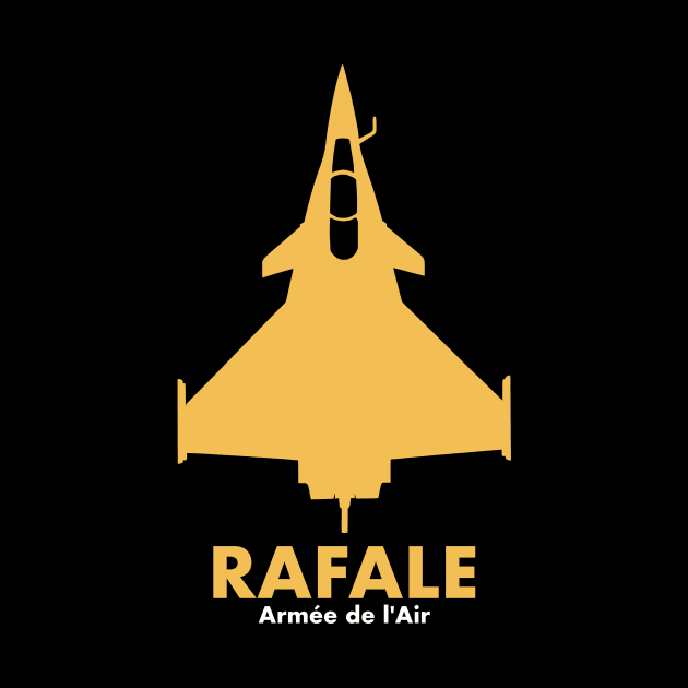 Rafale Fighter by Firemission45