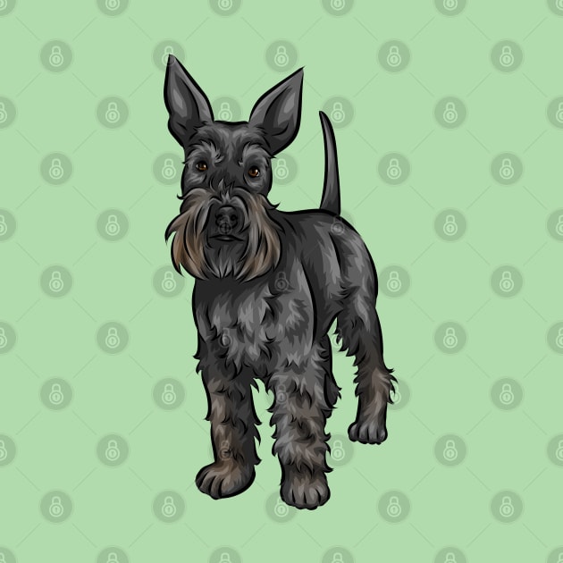 Cute Black Standard Schnauzer Dog by Shirin Illustration