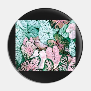 Green and pink leaves Pin