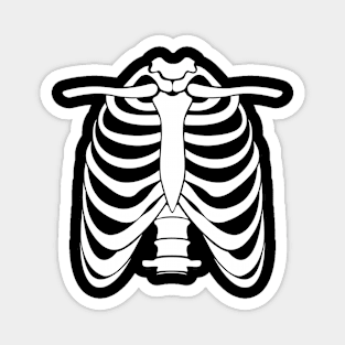 Human body bones Magnet