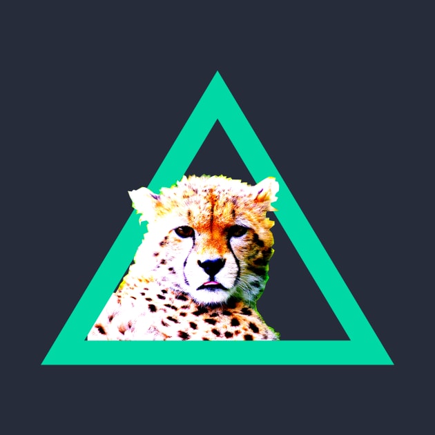 Cheetah in Triangle by bulubulu